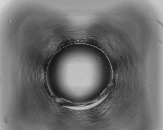 X0000095881298200801251131