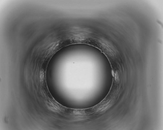 X0000095881299200801251131