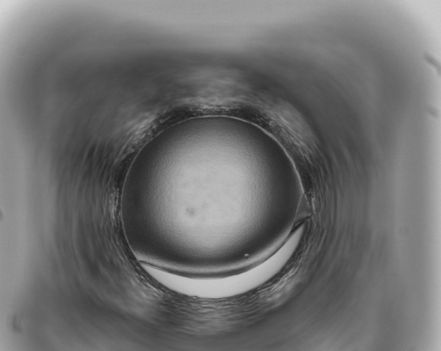 X0000095881300200801251131