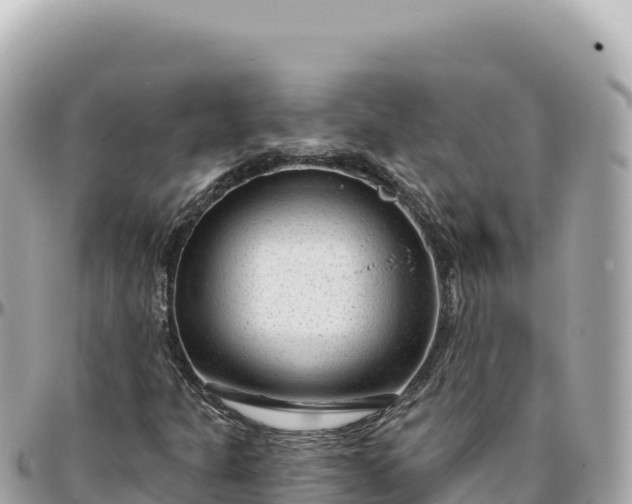 X0000095881301200801251131