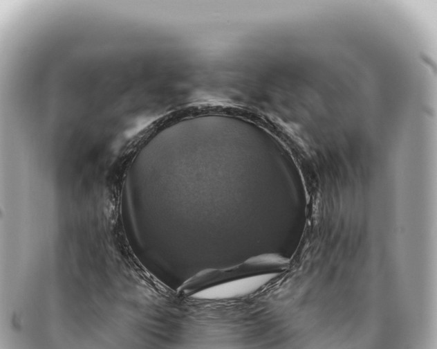 X0000095881303200801251131