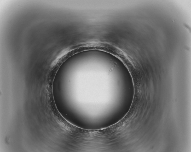 X0000095881304200801251131