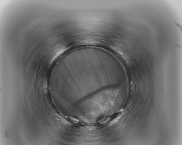 X0000095881306200801251131