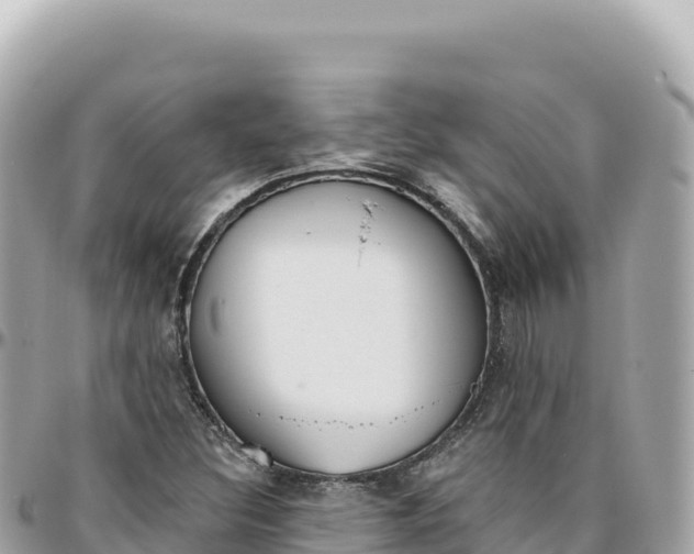 X0000095881308200801251131