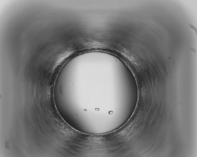 X0000095881309200801251131