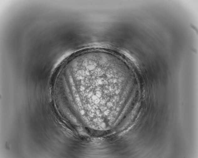 X0000095881310200801251131