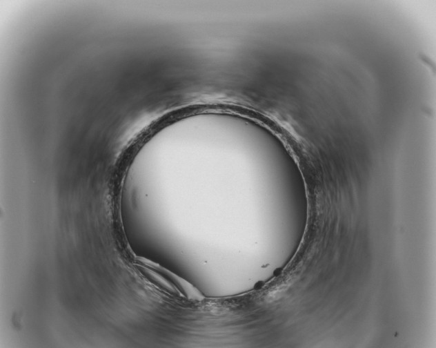 X0000095881311200801251131