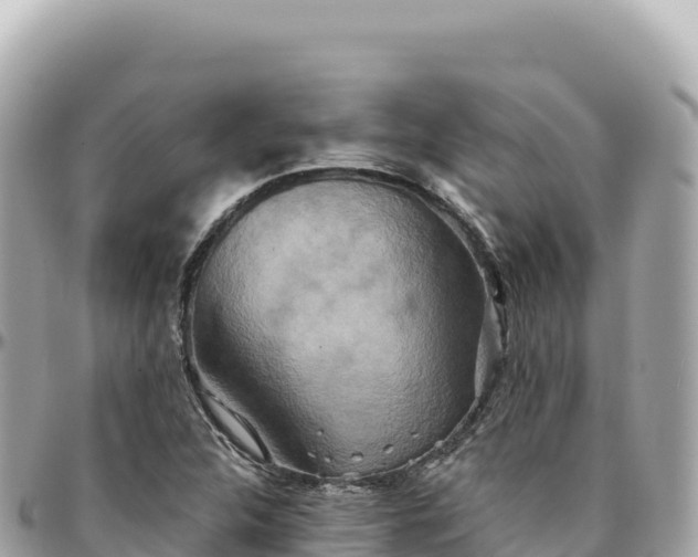 X0000095881312200801251131