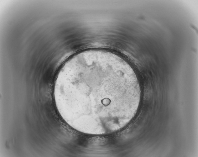 X0000095881314200801251131