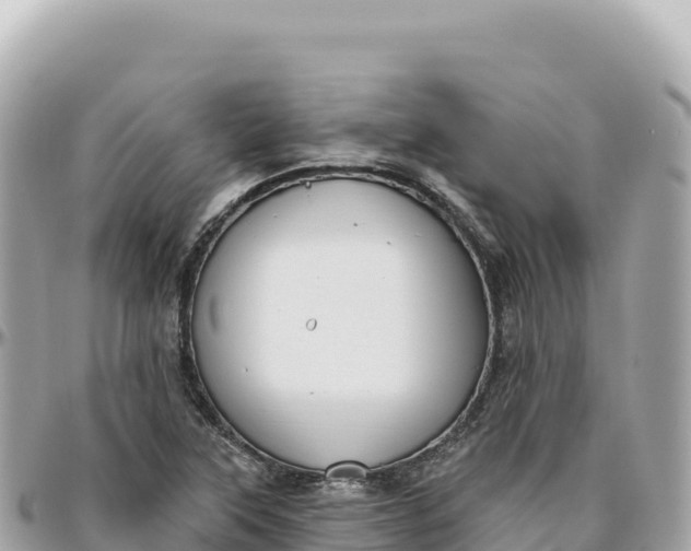 X0000095881315200801251132