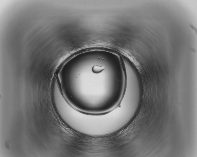 X0000095881316200801251132