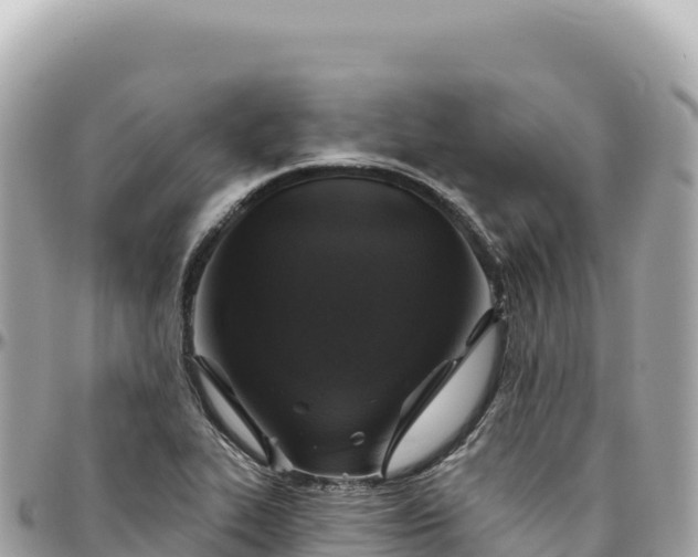 X0000095881319200801251132