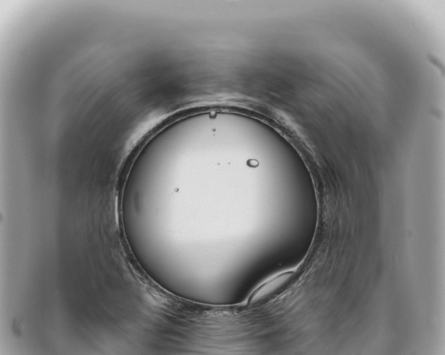 X0000095881320200801251132