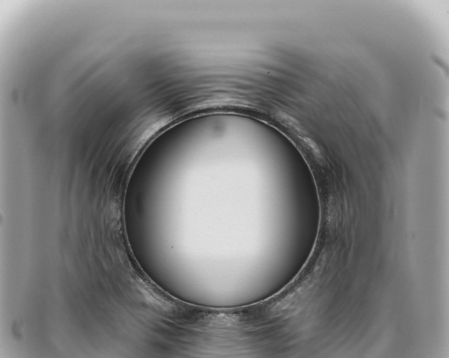 X0000095881321200801251132