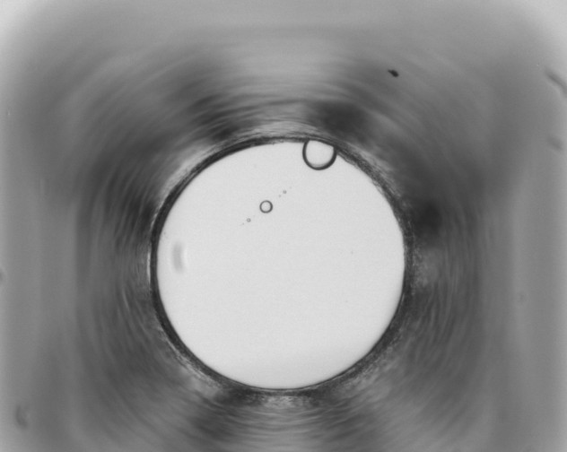 X0000095881322200801251132