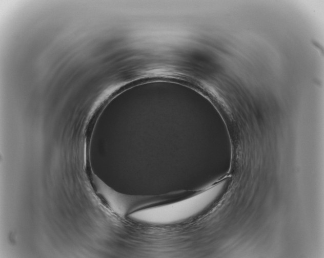 X0000095881323200801251132