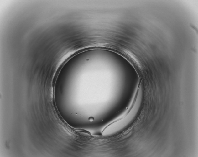 X0000095881324200801251132