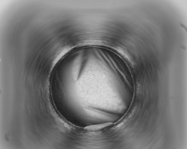 X0000095881325200801251132