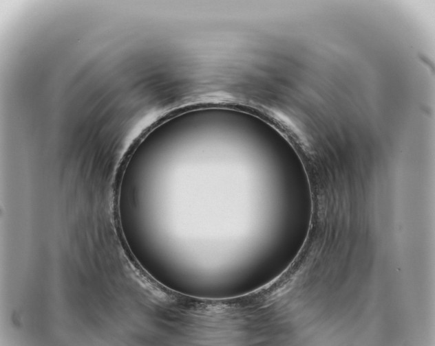 X0000095881326200801251132