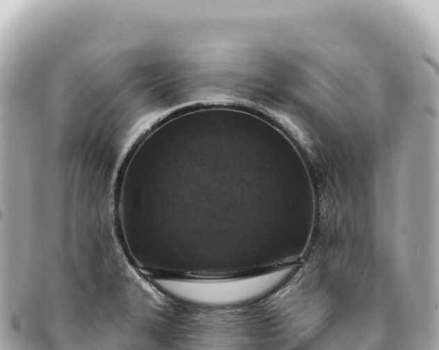 X0000095881327200801251132