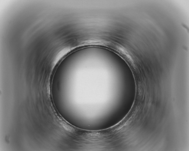 X0000095881328200801251132