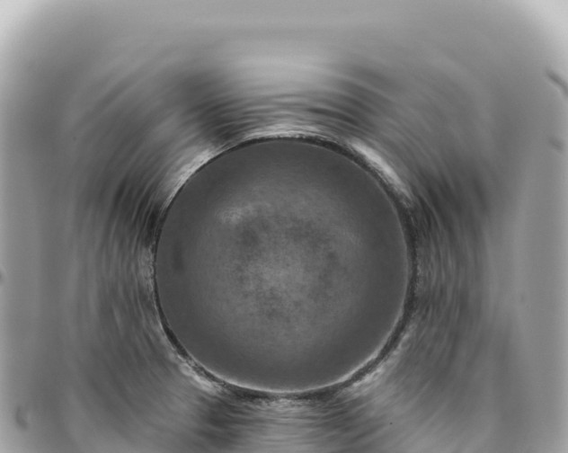 X0000095881329200801251132