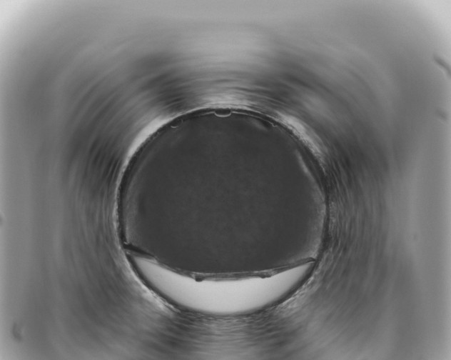 X0000095881331200801251132