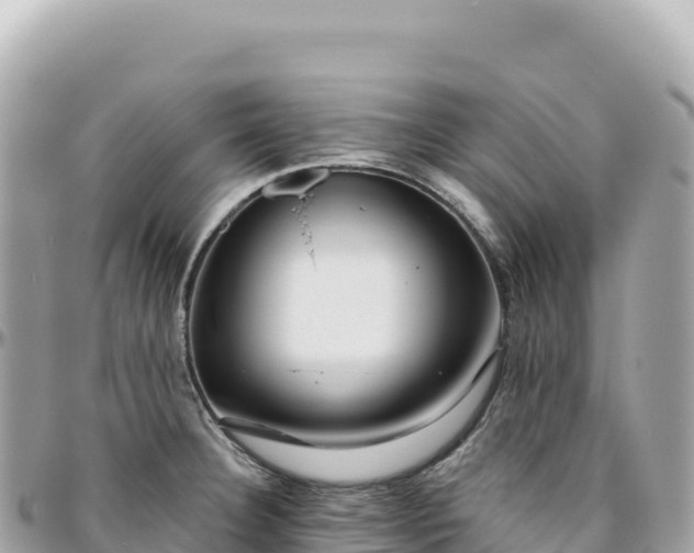 X0000095881332200801251132