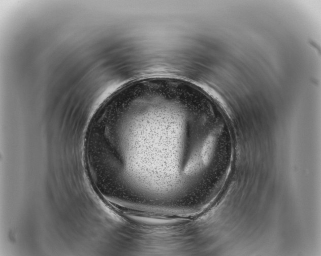 X0000095881333200801251132