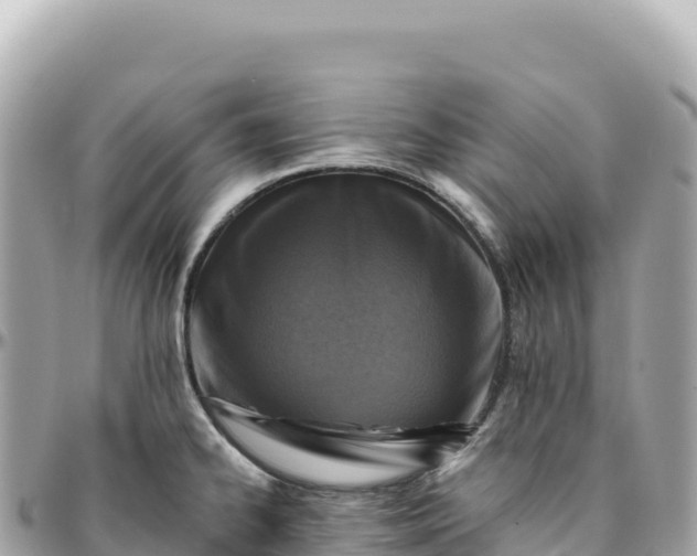 X0000095881334200801251132