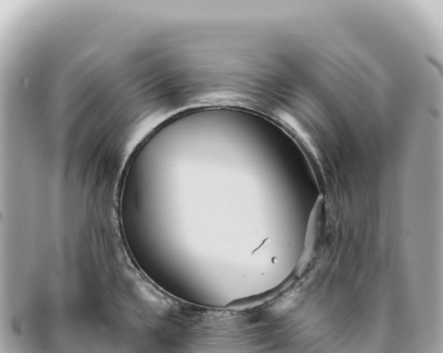 X0000095881336200801251132