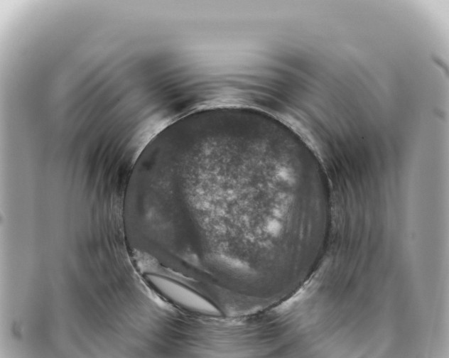 X0000095881337200801251132