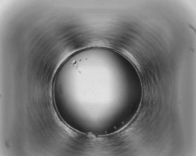 X0000095881339200801251132