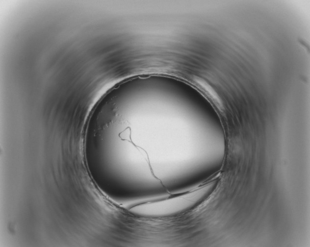 X0000095881340200801251132