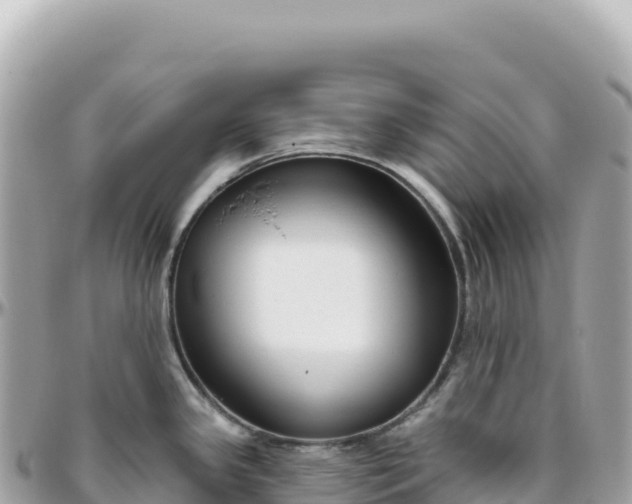 X0000095881341200801251132