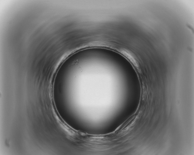 X0000095881342200801251132