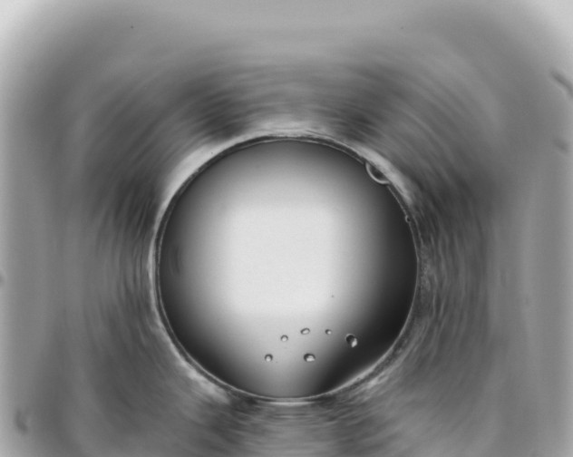 X0000095881343200801251132