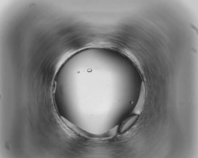 X0000095881344200801251132