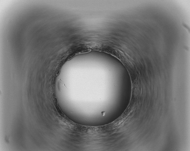 X0000095881345200801251131