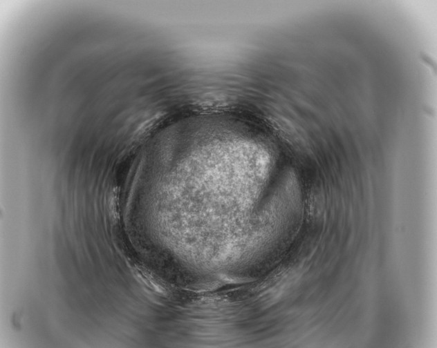 X0000095881346200801251131