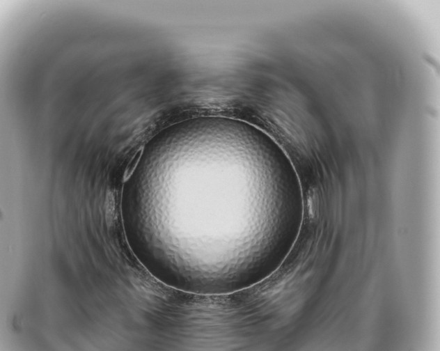 X0000095881347200801251131