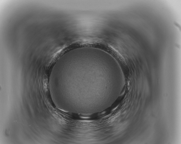 X0000095881348200801251131