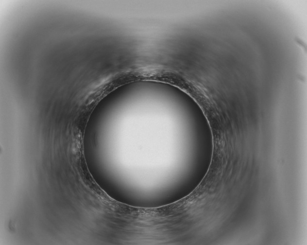 X0000095881349200801251131