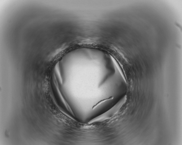 X0000095881350200801251131