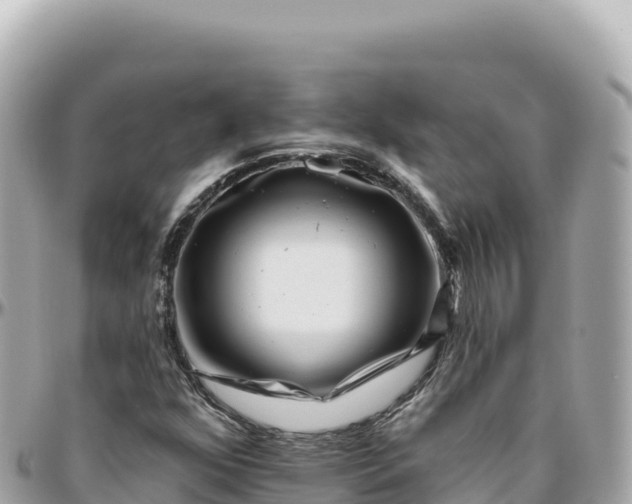 X0000095881352200801251131