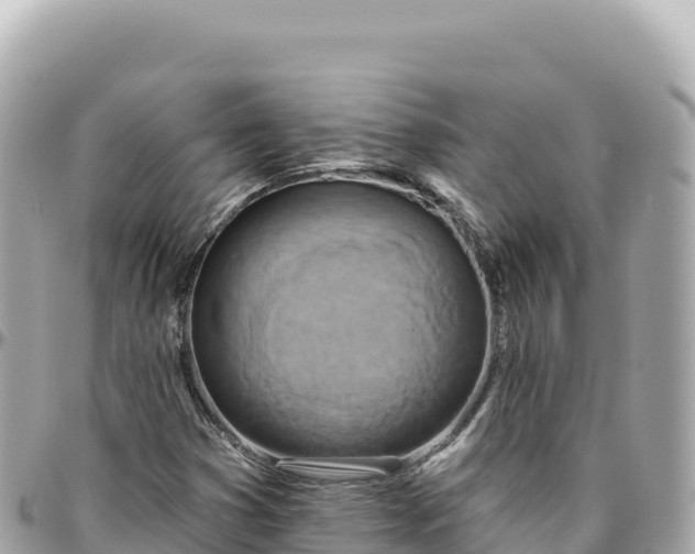 X0000095881353200801251131