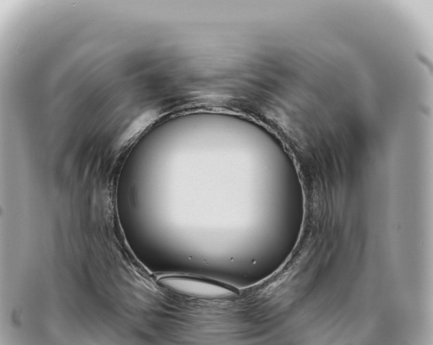 X0000095881354200801251131