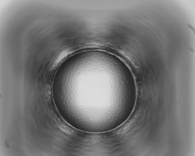 X0000095881355200801251131