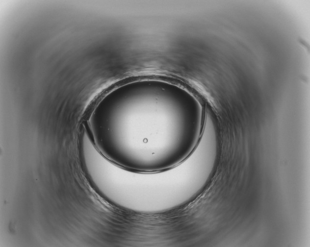 X0000095881356200801251131