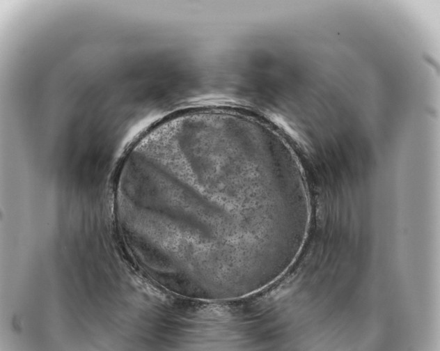 X0000095881358200801251131